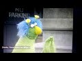 Sesame Street The Honkers Here Comes The Bride Happy Birthday To You