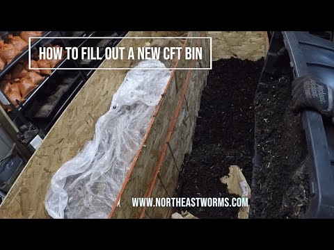 How to fill out a new CFT Bin