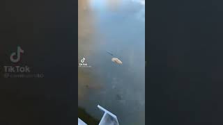 Throwing rock into frozen river