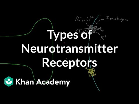 Types Of Neurotransmitter Receptors Video Khan Academy