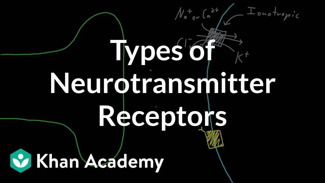 Types of neurotransmitter receptors | Nervous system physiology | NCLEX-RN | Khan Academy