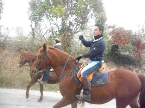 Ritorno a casa dopo la benedizione di S.Antonio con Sally (Mv-Horse)