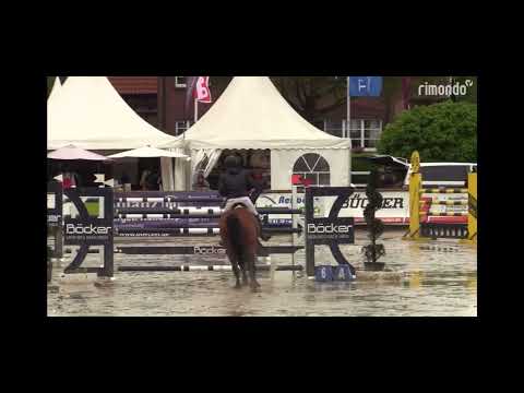 Untouched LB (United Touch S x Cornet Obolensky) winning 1,40m / Werne