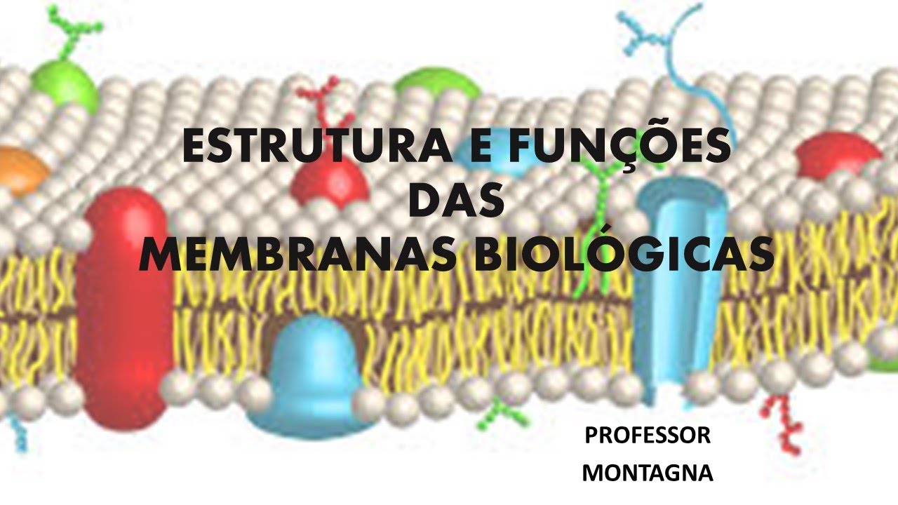 MEMBRANA BIOLÓGICA, ESTRUTURA E FUNÇÕES