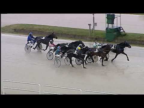 Napoli Trotto 20/01/2023 - 2ª corsa