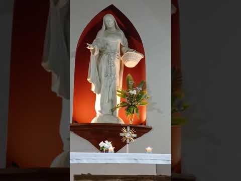 Adoración al Santísimo Sacramento del Altar con el Padre Fabian Esteban Oliva. 26/11/25