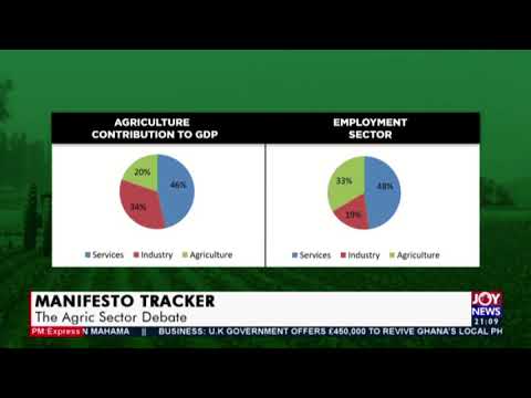 Manifesto Tracker: Agric Sector Debate - PM Express on Joy News (28-10-20)