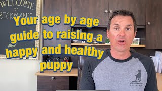 Age appropriateness is the key to raising a confident and happy puppy.
