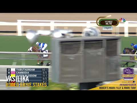 2018 Rodeo Drive - Vasilika