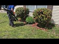 A Thorough Mosquito & Tick Reduction Treatment in Manalapan, NJ