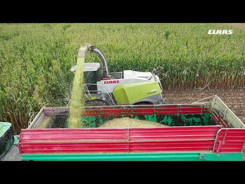 CLAAS In Campo 2020 - JAGUAR 990 + JAGUAR  980