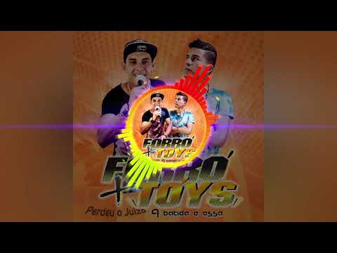 Fiz de tudo por você | Forró + toys