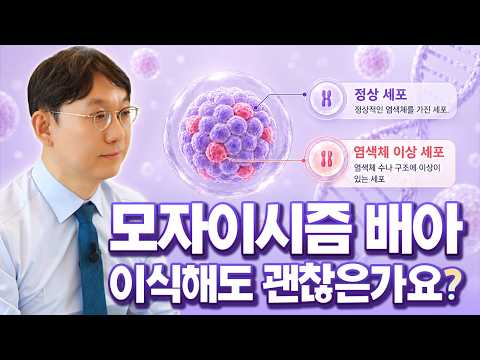모자이시즘 배아 이식해도 될까? 100% 임신 실패가 아닌 이유