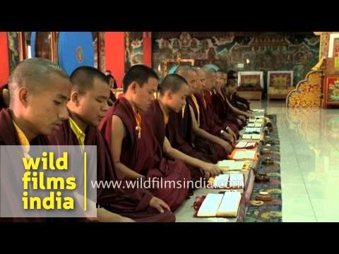 Inside Mindrolling Monastery of Clement Town, Dehradun