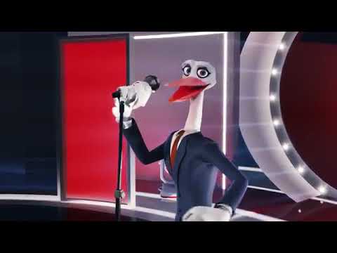 bocian pozyczki festiwal