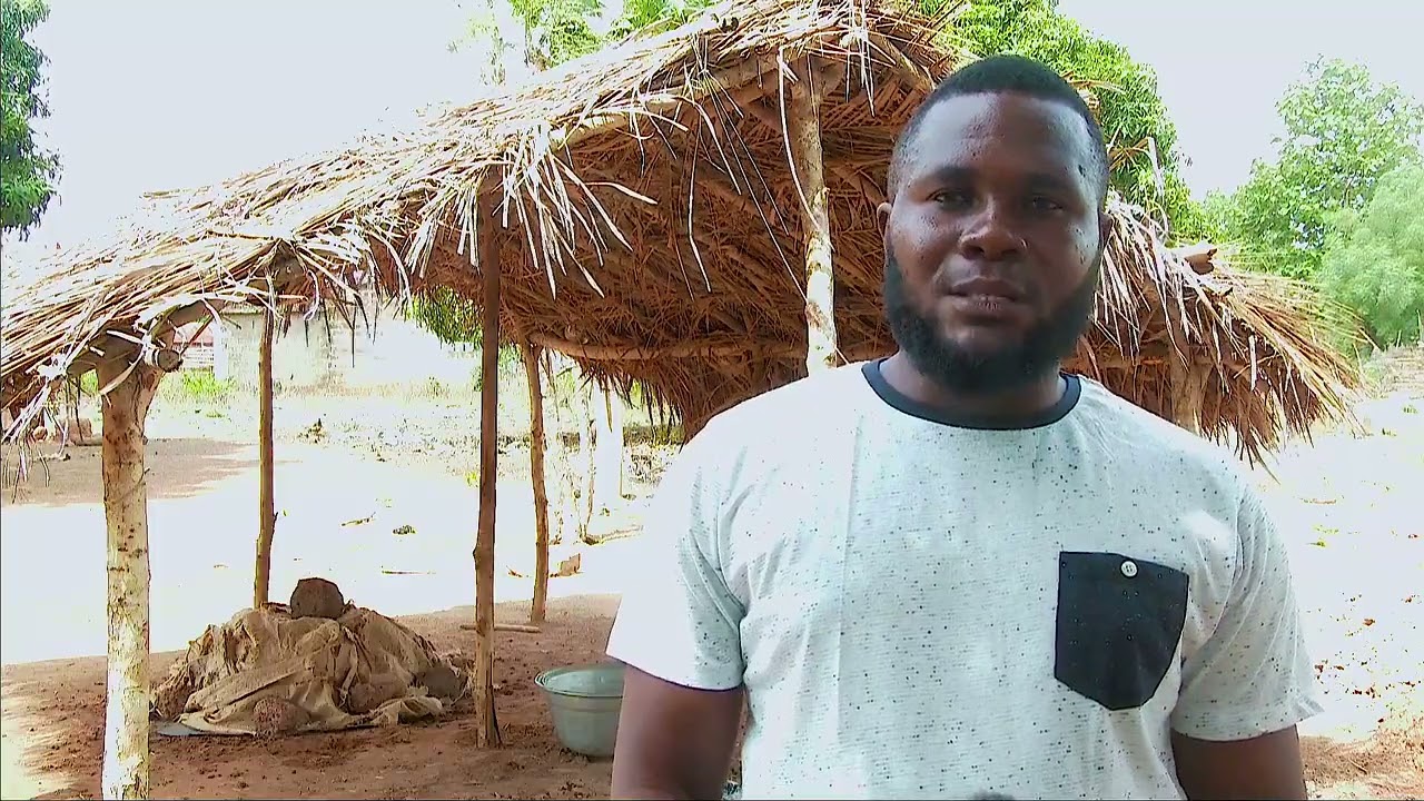 Foyers de cuisson améliorés Alafia : vers une transformation du Gari plus efficace au Bénin