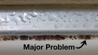 The Easiest Way To Fix Moldy Silicone!