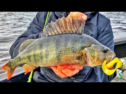 ISOJA & KAUNIITA AHVENIA KIRKKAASTA VEDESTÄ | STAND UP JIGAUS | KORPIJÄRVEN SEIKKAILUT JATKUU