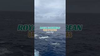 Cruises always fly by too fast! #royalcaribbean #cruise #springbreak #oasisoftheseas #cruisevacation
