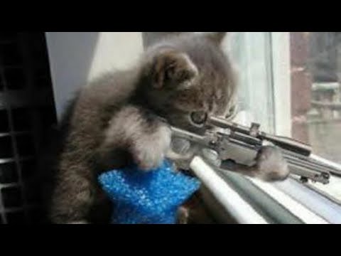 Ikov Rsps Elite Kitty