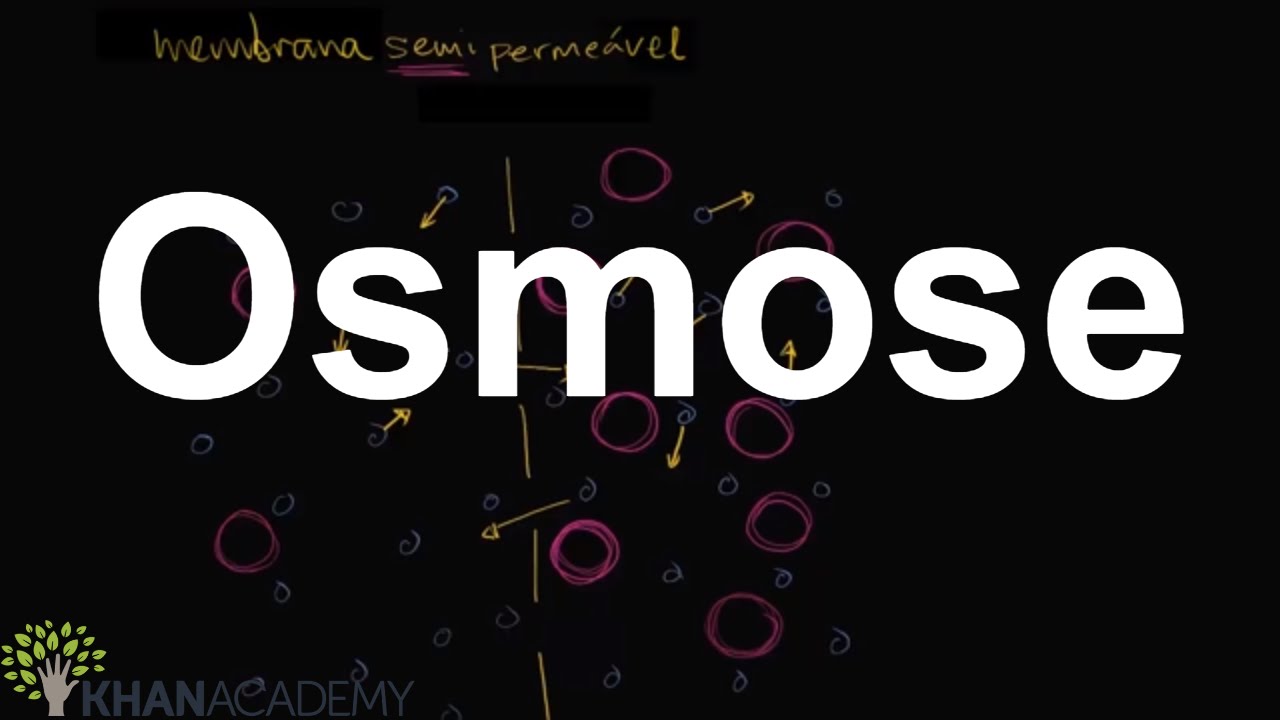 Osmose | Membranas e transporte | Biologia | Khan Academy