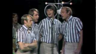 The Beach Boys - That's Why God Made The Radio (Fan Video)