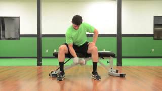 410. Dumbbell Concentration Curls