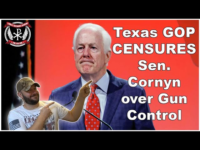 FINALLY: Cornyn Censured by GOP counties in Texas... Gun Control betrayal was their "final straw"...