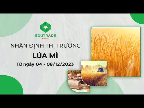 Nhận Định Thị Trường - Lúa mì (Ngày 04 - 08/12/2023 )