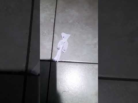 mega telefono megaphone #music