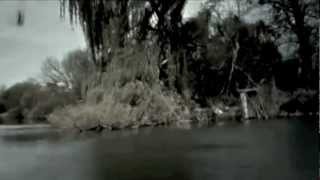 Two Hungry Black Birds