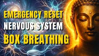 5-Minute Guided Meditation: EMERGENCY NERVOUS SYSTEM RESET (Box Breathing)