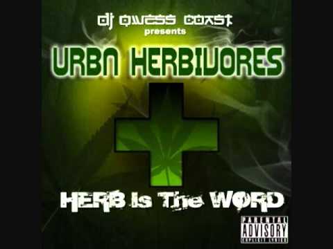 Naneezy - Everytime You Look At Me