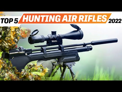 Top 5 BEST Air Rifle for Hunting You can Buy Right Now [2022]