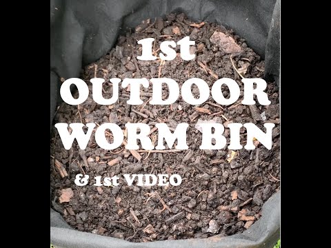Introduction to My Outdoor Worm Bin | Two 20 gallon fabric pots + 2000 Red Wigglers Vermicompost