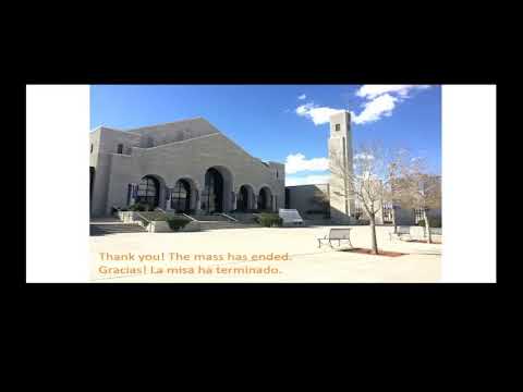 02 Jun 2020 - 0830 am mass