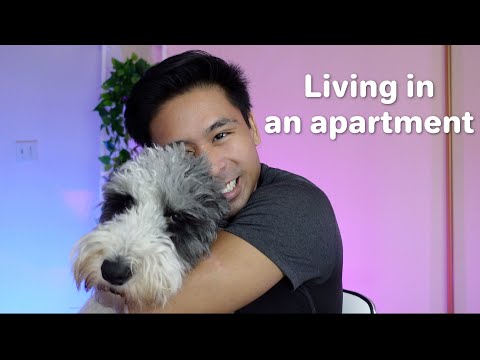 YouTube video about: How to muffle dog barking in apartment?