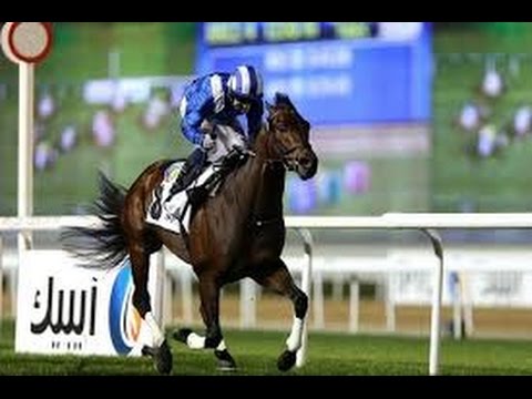 Al Quoz Sprint 2.10 Meydan Selection...