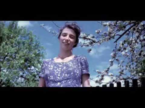 Música para cura - Medicina Germânica