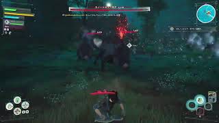 ＃12【配信】これはゲームであって遊びではない【Echoes of Ainclad】