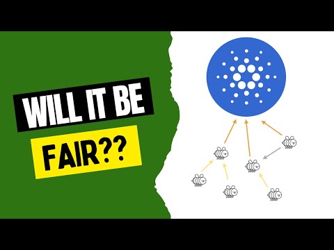 GOVERNANCE in CARDANO ADA? What you should EXPECT!