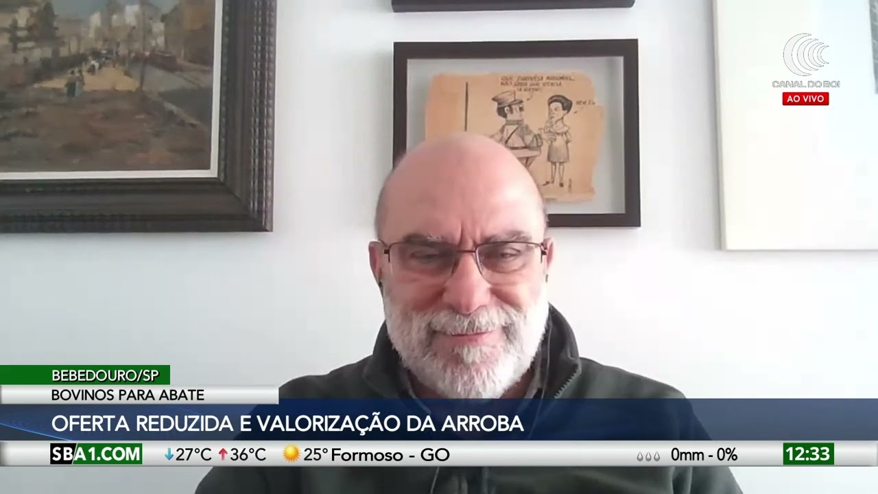 Redução na oferta de boi gordo pressiona cotações e mercado segue em alta