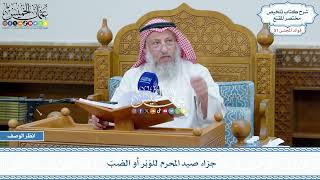 2642 - جزاء صيد المحرم للوَبْر أو الضبّ - عثمان الخميس