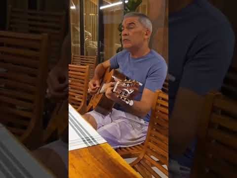 Porto Seguro - Os Nonatos