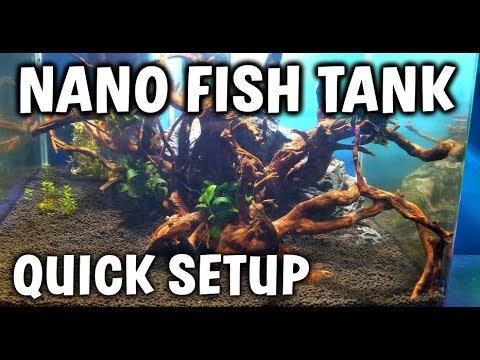 QUICK HOW TO: Set Up A Nano Fish And Shrimp Tank