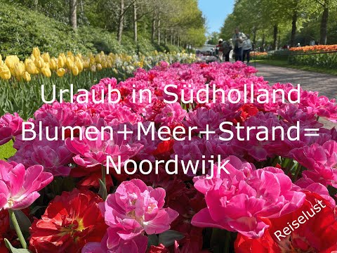 Urlaub in Südholland - Zwischen Blumen, Strand und Architektur liegt Noordwijk aan Zee