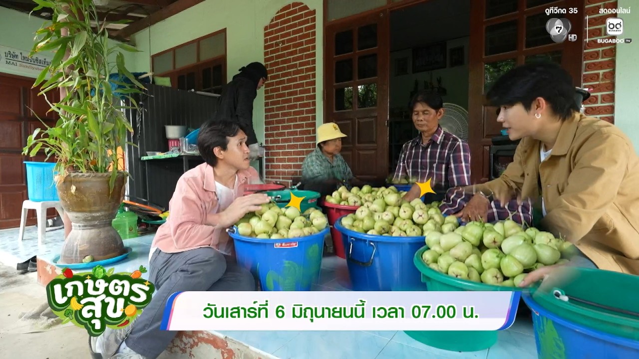 เกษตรสุข 6 มิ.ย.69