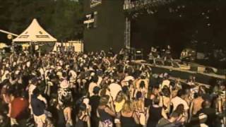 Krokus American Woman