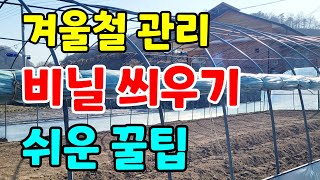 겨울에 비닐하우스 씌우는 꿀팁