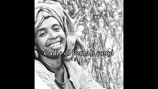 Download lagu Black Brothers,Gadis di lembah sunyi ,cover video ,#banggajadipetani mp3 Download lagu Black Brothers,Gadis di lembah sunyi ,cover video ,#banggajadipetani mp3